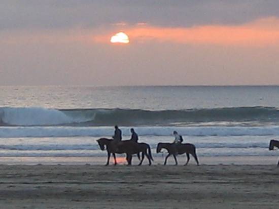 horses, beach naps, sunsets, and sand everywhere