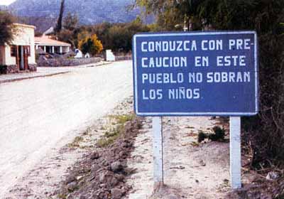 ¿Y sobraran los perros y gatos?