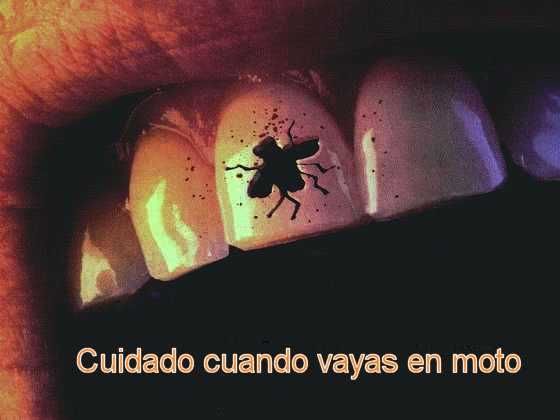 Consejos de la abuela