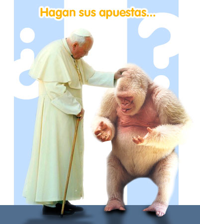 ¿Quién de estos dos, la palmara antés?