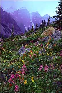 Ten Peaks