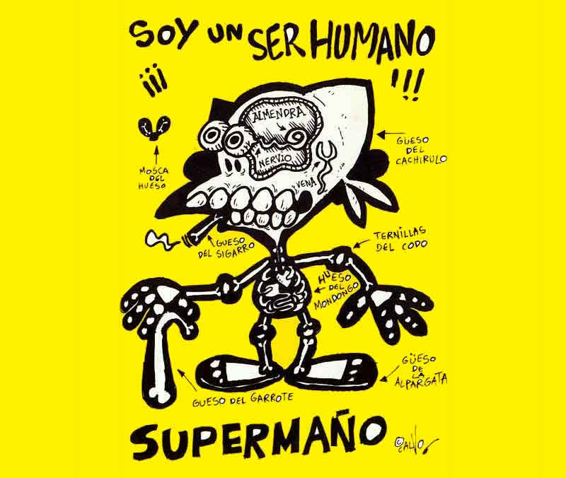 &iexcl;Pero si esta en los huesos!
