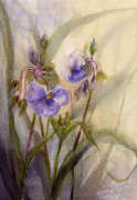 Blue flowers