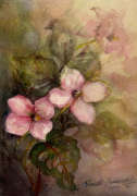Dogwoods