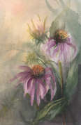 Echinecea