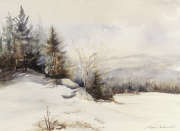 Winter in 

vermont