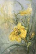 Yellow flower
