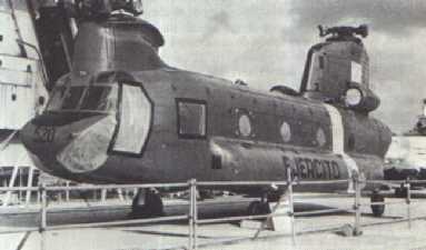 Chinook003001.jpg (11424 bytes)