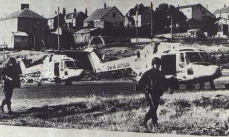 Lynx0101.jpg (19826 bytes)