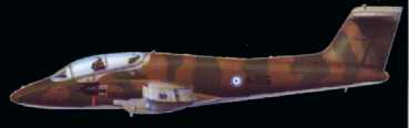 puca43001.jpg (4023 bytes)