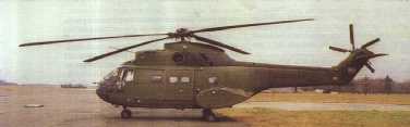 puma033001.jpg (5609 bytes)