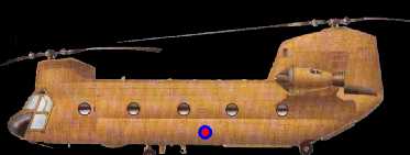 Chin01.jpg (6284 bytes)