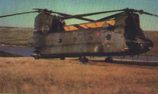 Helicoptero3401.jpg (14292 bytes)