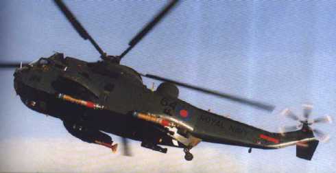 Seaking001201.jpg (11681 bytes)