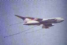 Victor001222001.jpg (3184 bytes)