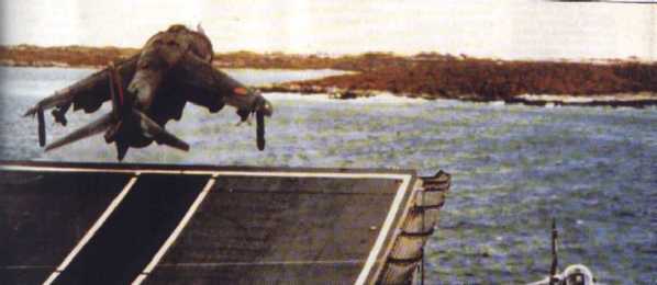 harrier0099001.jpg (17197 bytes)