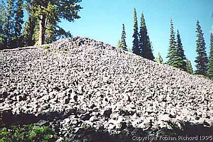Rock garden!!