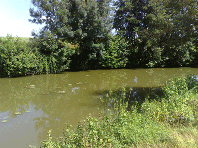 Farmland beyond river