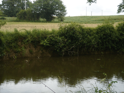View across the river to surrounding fields