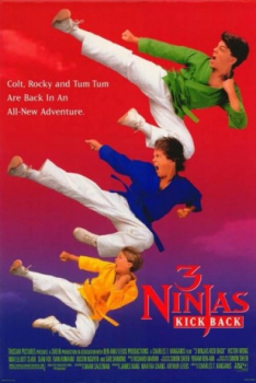 poster 3 ninjas 2: 3 ninjas contraatacan