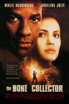 poster El coleccionista de huesos  (1999)