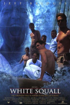 poster Tormenta blanca  (1996)