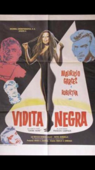 poster Vidita negra