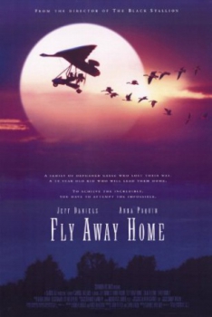 poster Volando a casa  (1996)