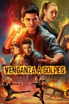 poster Venganza a golpes  (2022)