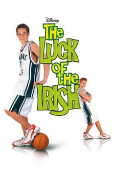 poster La suerte del Irlandes  (2001)