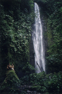 waterfall1.gif (126894 bytes)