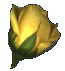 The Thorn of Friendship Or The Rose of Love