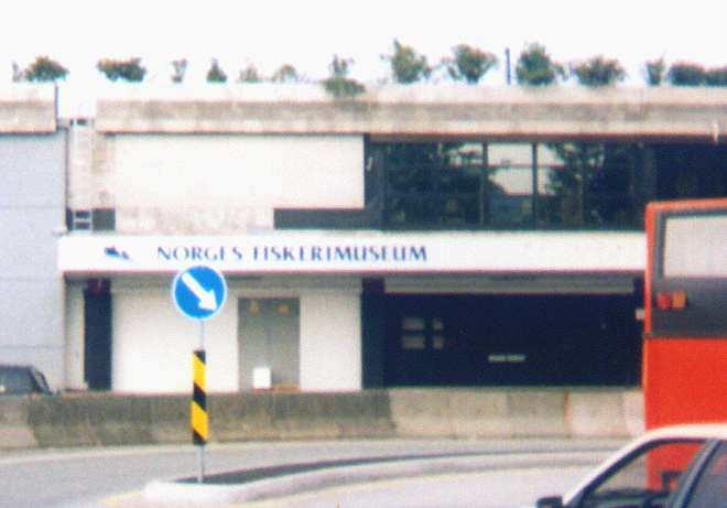 a museum all about fish! like heaven, but fishier...