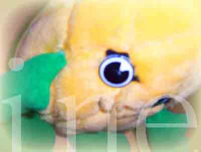 plush pineapple