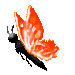 red flying butterfly