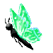 green flying butterfly