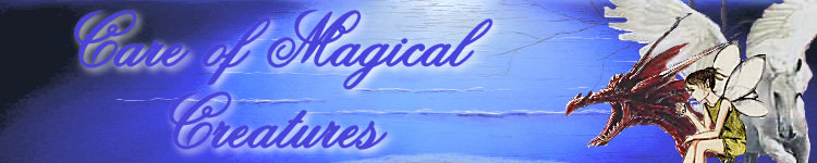 Care of Magical Creatures
