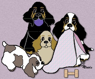 Choosing A Breeder