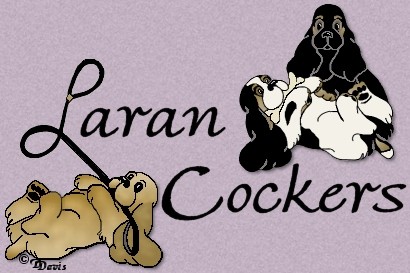 Laran Cockers