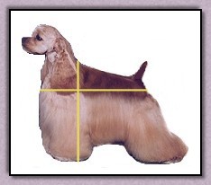 fig.1