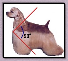 fig.3