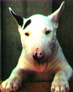 Pino