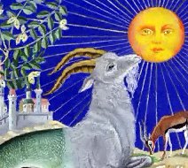 Capricorn