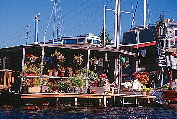 This house may collapse under the weight of all those plants!