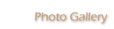 Photo Gallery