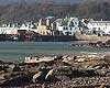 Millport Pier Photo courtesy of www.millport.org