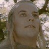 Okay, this has got to be my absolute LEAST favorite pic of Haldir, but I figured what the heck? XD