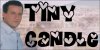 Tiny Candle- An Alistair Kingsley Fanlisting