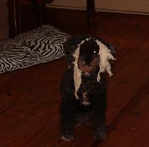 Yes..that IS a sock. XD
