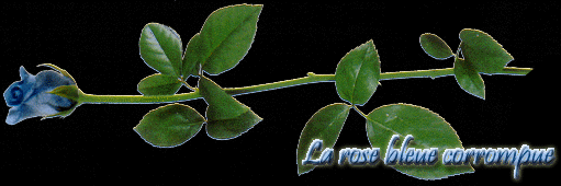 La rose bleue corrompue